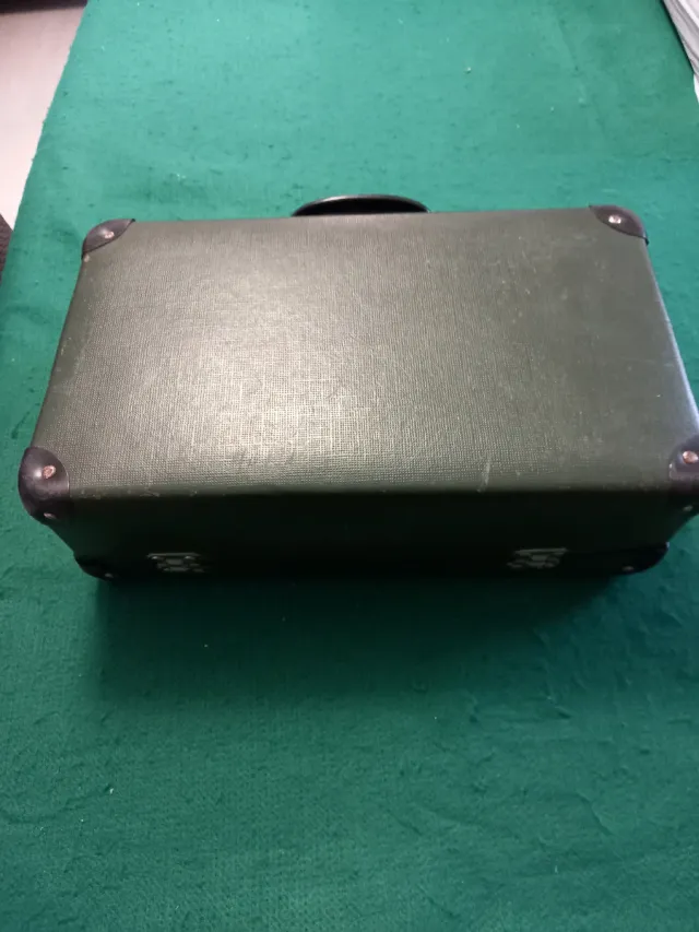 Valigia vintage verde