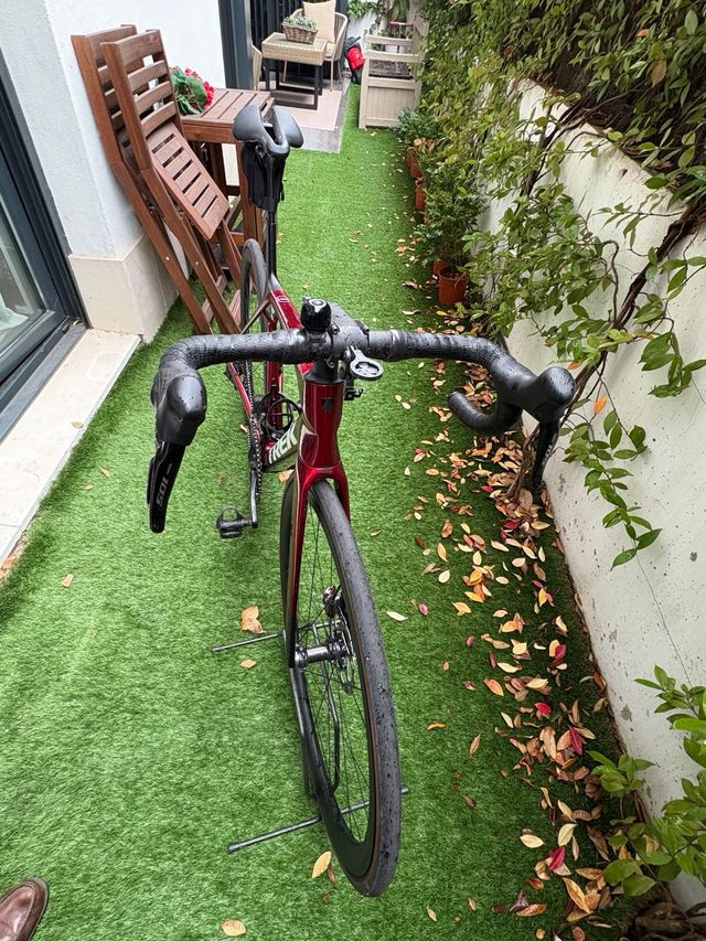 Trek Madone SL6 Gen 8 Talla M