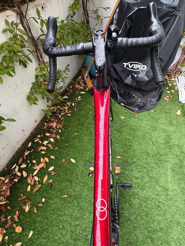 Trek Madone SL6 Gen 8 Talla M