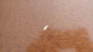 Mesa redonda extensible de madera