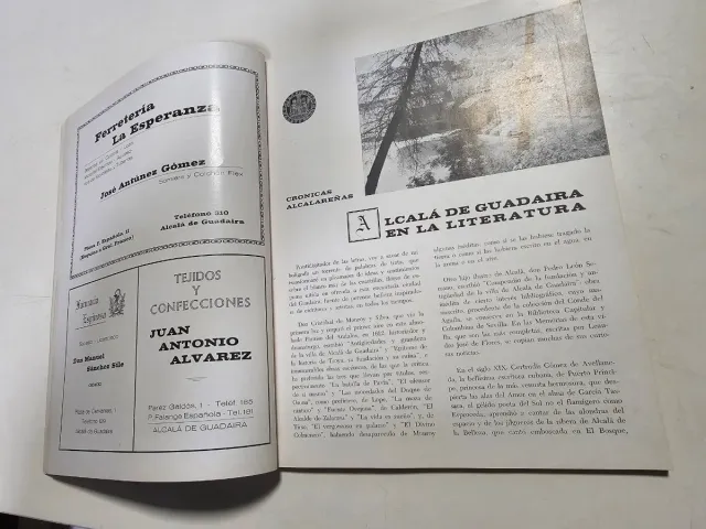 Libro de Fiestas, Alcalá de Guadaira.Sevilla.