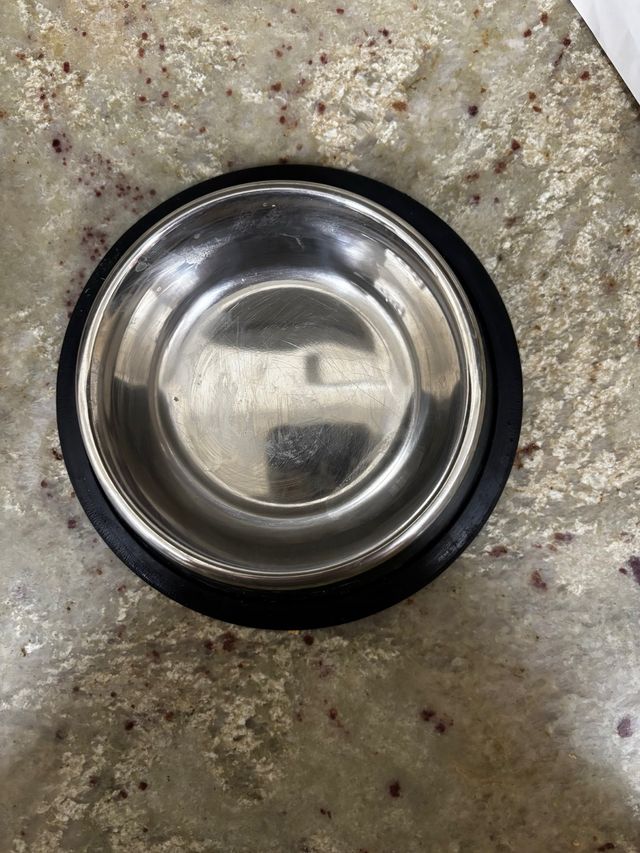 Cuenco para mascotas de acero inoxidable