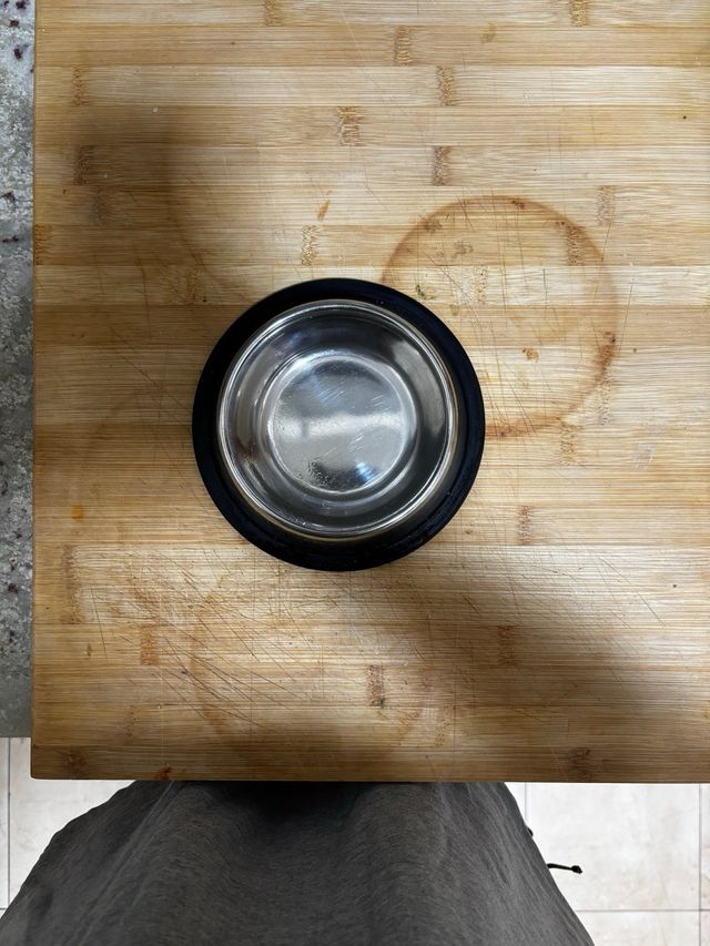 Cuenco para mascotas de acero inoxidable