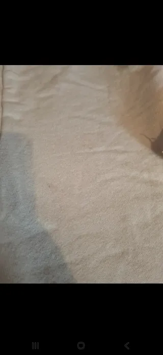 Lote 3 Chándal Corto: Gris, Verde, Amarillo