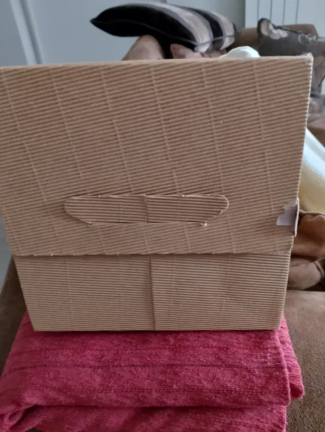 Bauletto porta soldi laurea