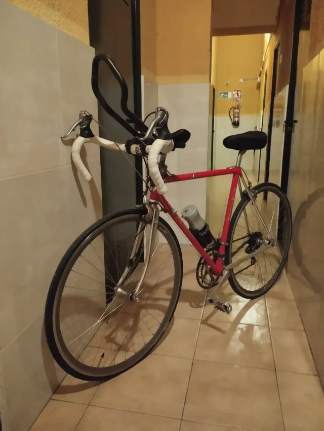 Bicicleta Vitus Clásica 30 Años