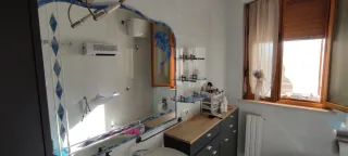 Specchio decorato con delfini