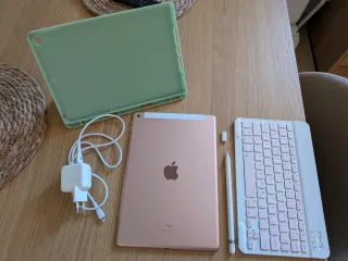 iPad 7ª Gen 32GB + SIM Rose Gold