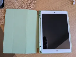 iPad 7ª Gen 32GB + SIM Rose Gold