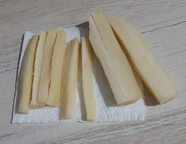 Planta de Caña de Azúcar