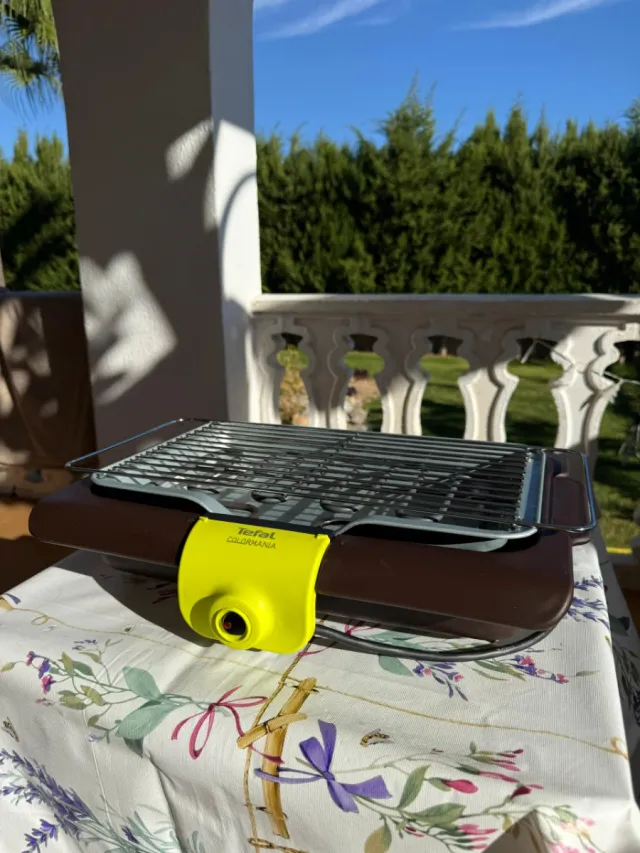 Parrilla Eléctrica Raclette 20 e cada una