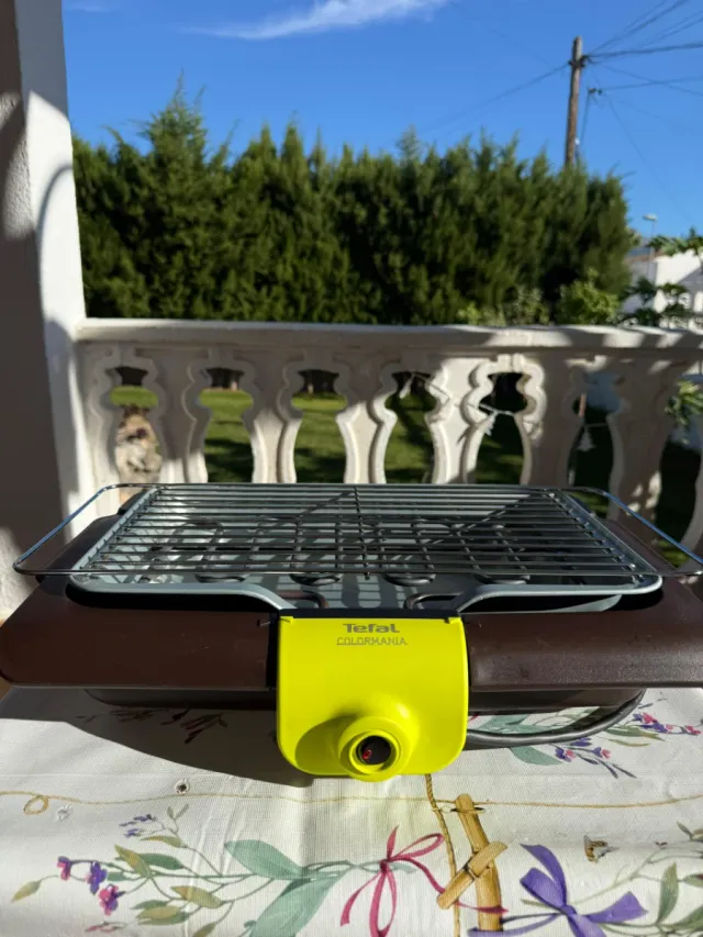 Parrilla Eléctrica Raclette 20 e cada una