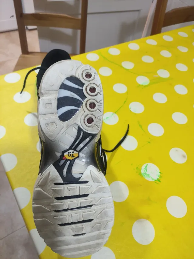 Zapatillas Nike Air Max Plus TN Originales