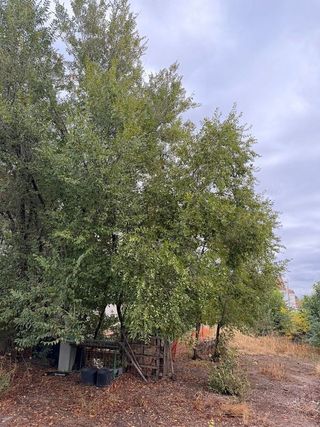 Terreno en venta en Santa María en Ciudad Real