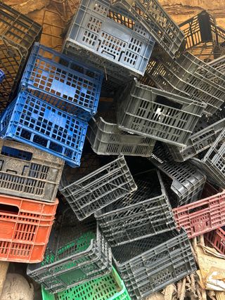 Cajas de plástico para fruta y verdura