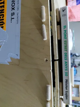 El pont estret dels anys 50 (Catalan Edition)