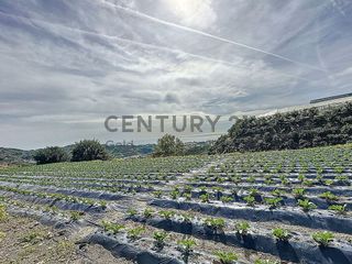 Terreno en venta en Algarrobo en Algarrobo