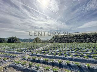 Terreno en venta en Algarrobo en Algarrobo