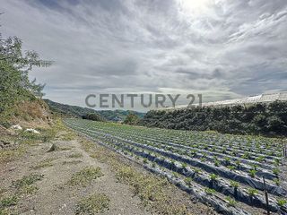 Terreno en venta en Algarrobo en Algarrobo