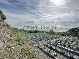 Terreno en venta en Algarrobo en Algarrobo