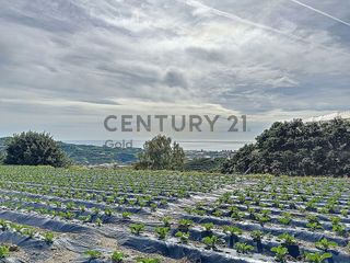 Terreno en venta en Algarrobo en Algarrobo