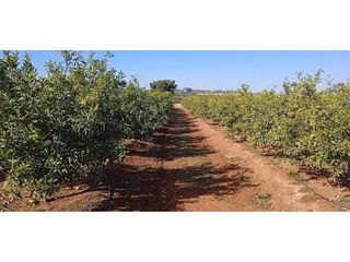 Terreno en venta en Picassent