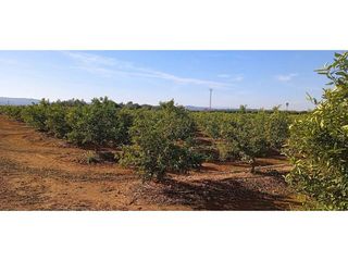 Terreno en venta en Picassent