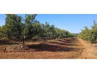 Terreno en venta en Picassent