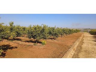 Terreno en venta en Picassent