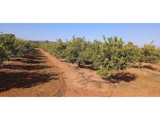 Terreno en venta en Picassent