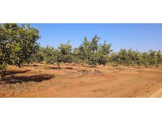 Terreno en venta en Picassent