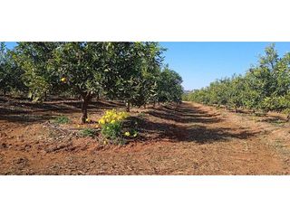 Terreno en venta en Picassent