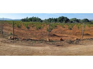 Terreno en venta en Picassent