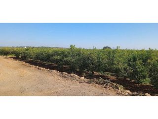 Terreno en venta en Picassent