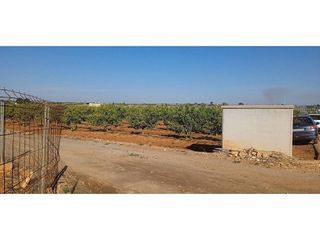 Terreno en venta en Picassent