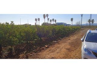 Terreno en venta en Picassent