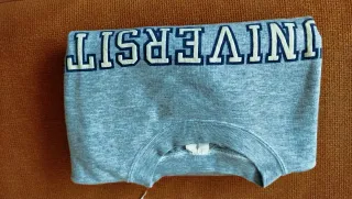 Sudadera University Paris Sorbonne Gris