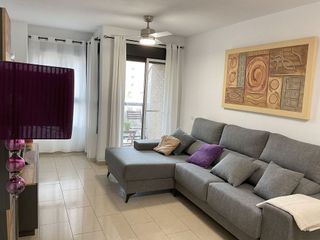 Piso en alquiler en Alcalde Felipe Mallol en San Vicente del Raspeig/Sant Vicent del Raspeig