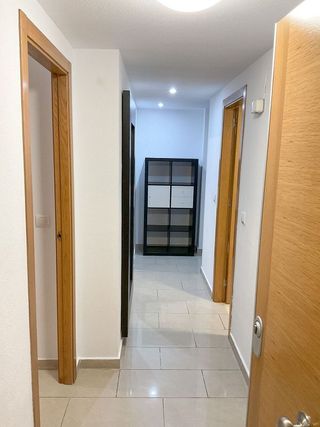 Piso en alquiler en Alcalde Felipe Mallol en San Vicente del Raspeig/Sant Vicent del Raspeig