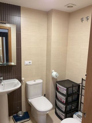 Piso en alquiler en Alcalde Felipe Mallol en San Vicente del Raspeig/Sant Vicent del Raspeig