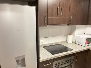 Piso en alquiler en Alcalde Felipe Mallol en San Vicente del Raspeig/Sant Vicent del Raspeig