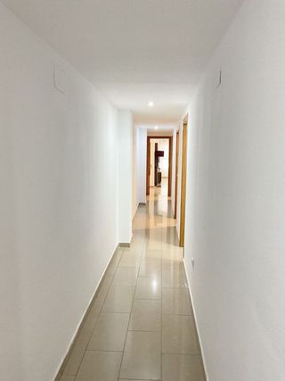 Piso en alquiler en Alcalde Felipe Mallol en San Vicente del Raspeig/Sant Vicent del Raspeig