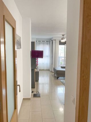 Piso en alquiler en Alcalde Felipe Mallol en San Vicente del Raspeig/Sant Vicent del Raspeig