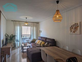 Piso en alquiler en Alcalde Felipe Mallol en San Vicente del Raspeig/Sant Vicent del Raspeig