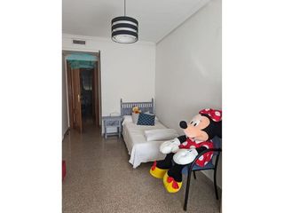 Piso en alquiler en Alcalde Felipe Mallol en San Vicente del Raspeig/Sant Vicent del Raspeig