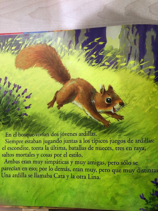 Las ardillas y el optimismo (Spanish Edition)