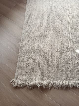 Alfombra lana , falta pasar aspirador,25€a 20€