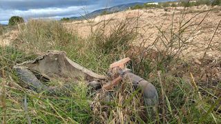 Terreno en venta en Monóvar/Monòver