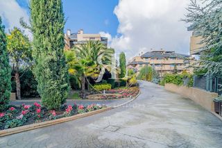 Piso en alquiler en Zona Monte El Pilar en Majadahonda