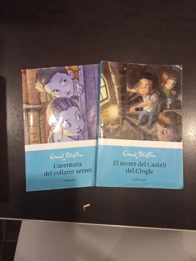 El secret del Castell del Cingle